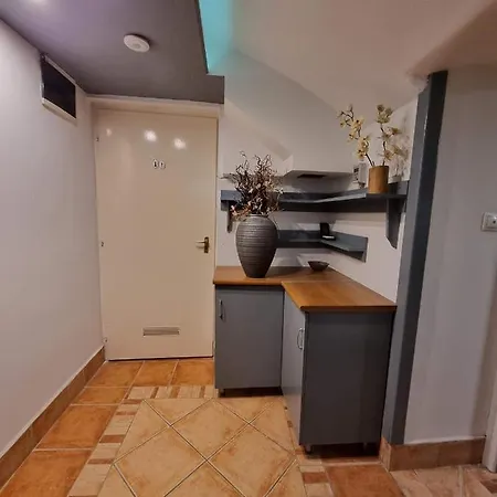 ホステル Centrum Wellness *